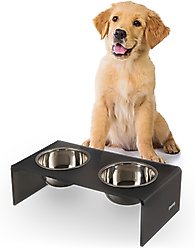 THE LICKER STORE Keaton Modern Lucite Stainless Steel Elevated Dog & Cat Bowls, Dark Gray/Chrome, Small/Medium: 5-in, 2.5 cup slide 1 of 6