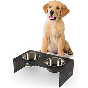 THE LICKER STORE Keaton Modern Lucite Stainless Steel Elevated Dog & Cat Bowls, Dark Gray/Chrome, Small/Medium: 5-in, 2.5 cup