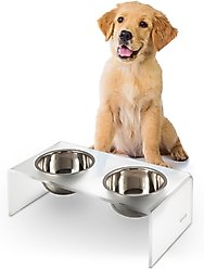 THE LICKER STORE Keaton Modern Lucite Stainless Steel Elevated Dog & Cat Bowls, Moon White/Chrome, Small/Medium: 5-in, 2.5 cup