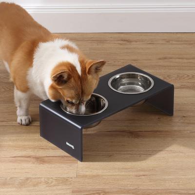 Show full view: THE LICKER STORE Keaton Modern Lucite Stainless Steel Elevated Dog & Cat Bowls, Dark Gray/Chrome, Small/Medium: 5-in, 2.5 cup slide 3 of 7