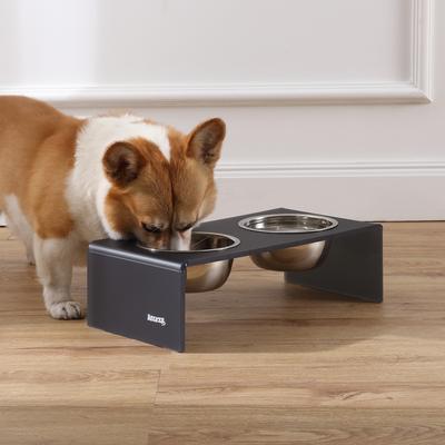 Show full view: THE LICKER STORE Keaton Modern Lucite Stainless Steel Elevated Dog & Cat Bowls, Dark Gray/Chrome, Small/Medium: 5-in, 2.5 cup slide 7 of 7
