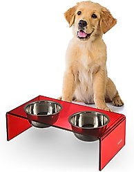 THE LICKER STORE Keaton Modern Lucite Stainless Steel Elevated Dog & Cat Bowls, Red/Chrome, Small/Medium: 5-in, 2.5 cup