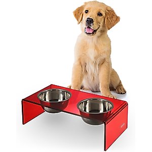 THE LICKER STORE Keaton Modern Lucite Stainless Steel Elevated Dog & Cat Bowls, Red/Chrome, Small/Medium: 5-in, 2.5 cup