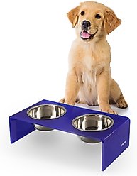 THE LICKER STORE Keaton Modern Lucite Stainless Steel Elevated Dog & Cat Bowls, Purple/Chrome, Small/Medium: 5-in, 2.5 cup