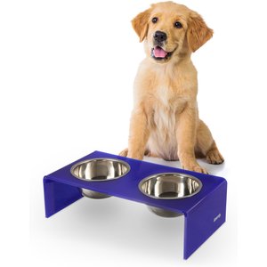 THE LICKER STORE Keaton Modern Lucite Stainless Steel Elevated Dog & Cat Bowls, Purple/Chrome, Small/Medium: 5-in, 2.5 cup