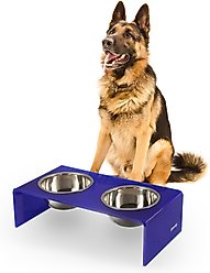 THE LICKER STORE Keaton Modern Lucite Stainless Steel Elevated Dog & Cat Bowls, Purple/Chrome, Medium/Large: 7.5-in, 6.8 cup