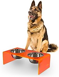 THE LICKER STORE Keaton Modern Lucite Stainless Steel Elevated Dog & Cat Bowls, Pink/Chrome, Medium/Large: 7.5-in, 6.8 cup