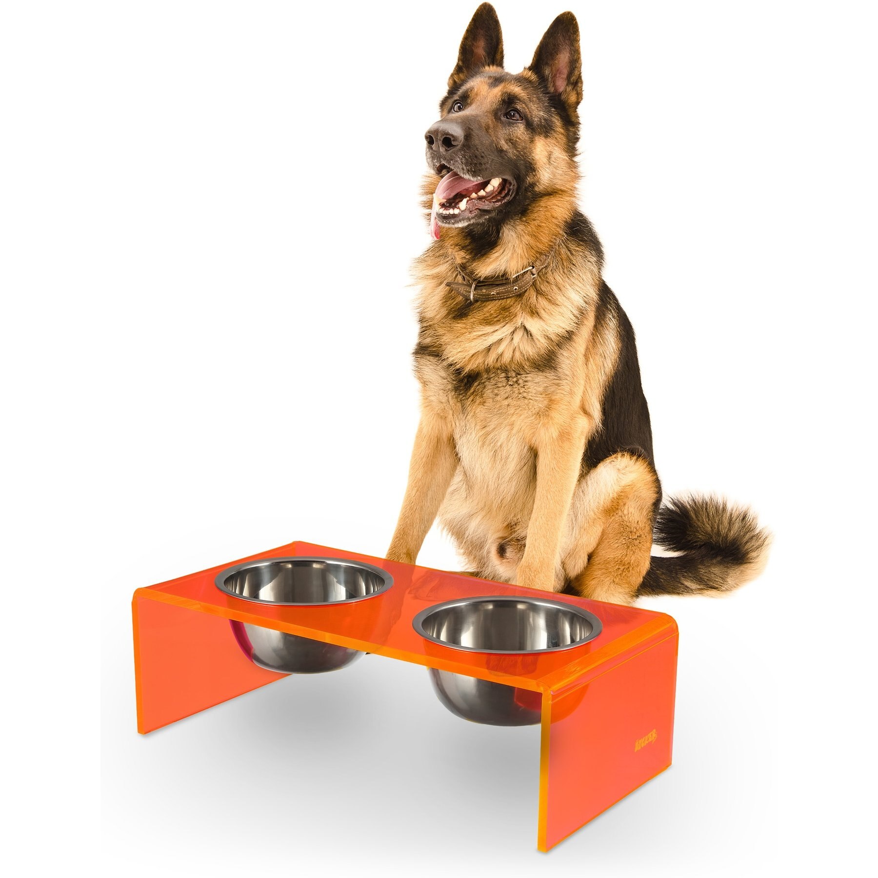 THE LICKER STORE Keaton Modern Lucite Stainless Steel Elevated Dog & Cat Bowls, Pink/Chrome, Medium/Large: 7.5-in, 6.8 cup
