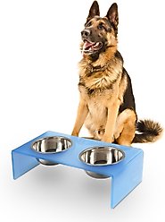 THE LICKER STORE Keaton Modern Lucite Stainless Steel Elevated Dog & Cat Bowls, Blue/Chrome, Medium/Large: 7.5-in, 6.8 cup