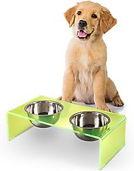 THE LICKER STORE Keaton Modern Lucite Stainless Steel Elevated Dog & Cat Bowls, Green/Chrome, Small/Medium: 5-in, 2.5 cup