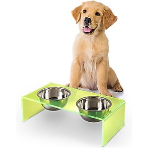 THE LICKER STORE Keaton Modern Lucite Stainless Steel Elevated Dog & Cat Bowls, Green/Chrome, Small/Medium: 5-in, 2.5 cup