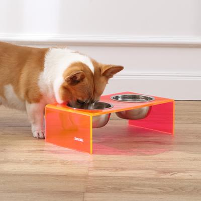 Show full view: THE LICKER STORE Keaton Modern Lucite Stainless Steel Elevated Dog & Cat Bowls, Pink/Chrome, Small/Medium: 5-in, 2.5 cup slide 6 of 6