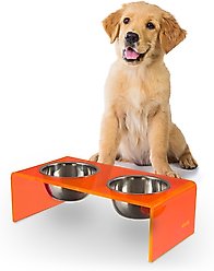 THE LICKER STORE Keaton Modern Lucite Stainless Steel Elevated Dog & Cat Bowls, Pink/Chrome, Small/Medium: 5-in, 2.5 cup