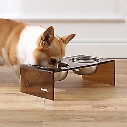 THE LICKER STORE Keaton Modern Lucite Stainless Steel Elevated Dog & Cat Bowls, Amber/Chrome, Small/Medium: 5-in, 2.5 cup slide 2 of 6