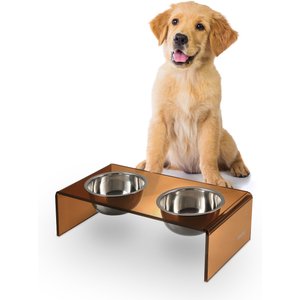 THE LICKER STORE Keaton Modern Lucite Stainless Steel Elevated Dog & Cat Bowls, Amber/Chrome, Small/Medium: 5-in, 2.5 cup