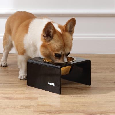 Show full view: THE LICKER STORE Keaton Modern Lucite 1-Stainless Steel Elevated Dog & Cat Bowls, Black/Gold, Small/Medium: 5-in, 2.5 cup slide 6 of 6