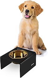 THE LICKER STORE Keaton Modern Lucite 1-Stainless Steel Elevated Dog & Cat Bowls, Black/Gold, Small/Medium: 5-in, 2.5 cup