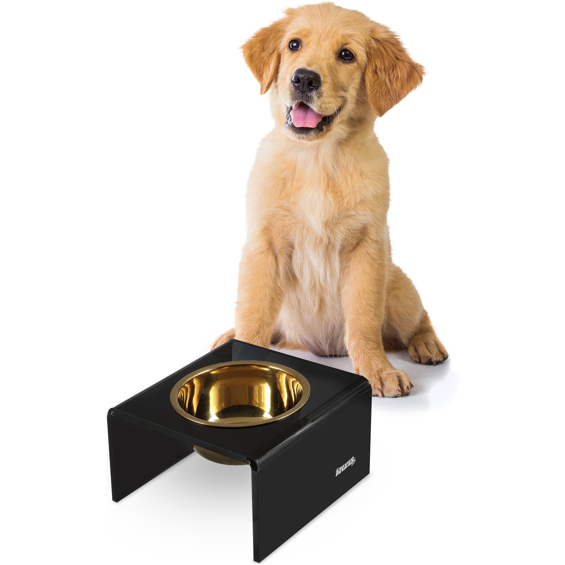THE LICKER STORE Keaton Modern Lucite 1-Stainless Steel Elevated Dog & Cat Bowls, Black/Gold, Small/Medium: 5-in, 2.5 cup