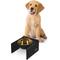 Show in main carousel: THE LICKER STORE Keaton Modern Lucite 1-Stainless Steel Elevated Dog & Cat Bowls, Black/Gold, Small/Medium: 5-in, 2.5 cup slide 1 of 6