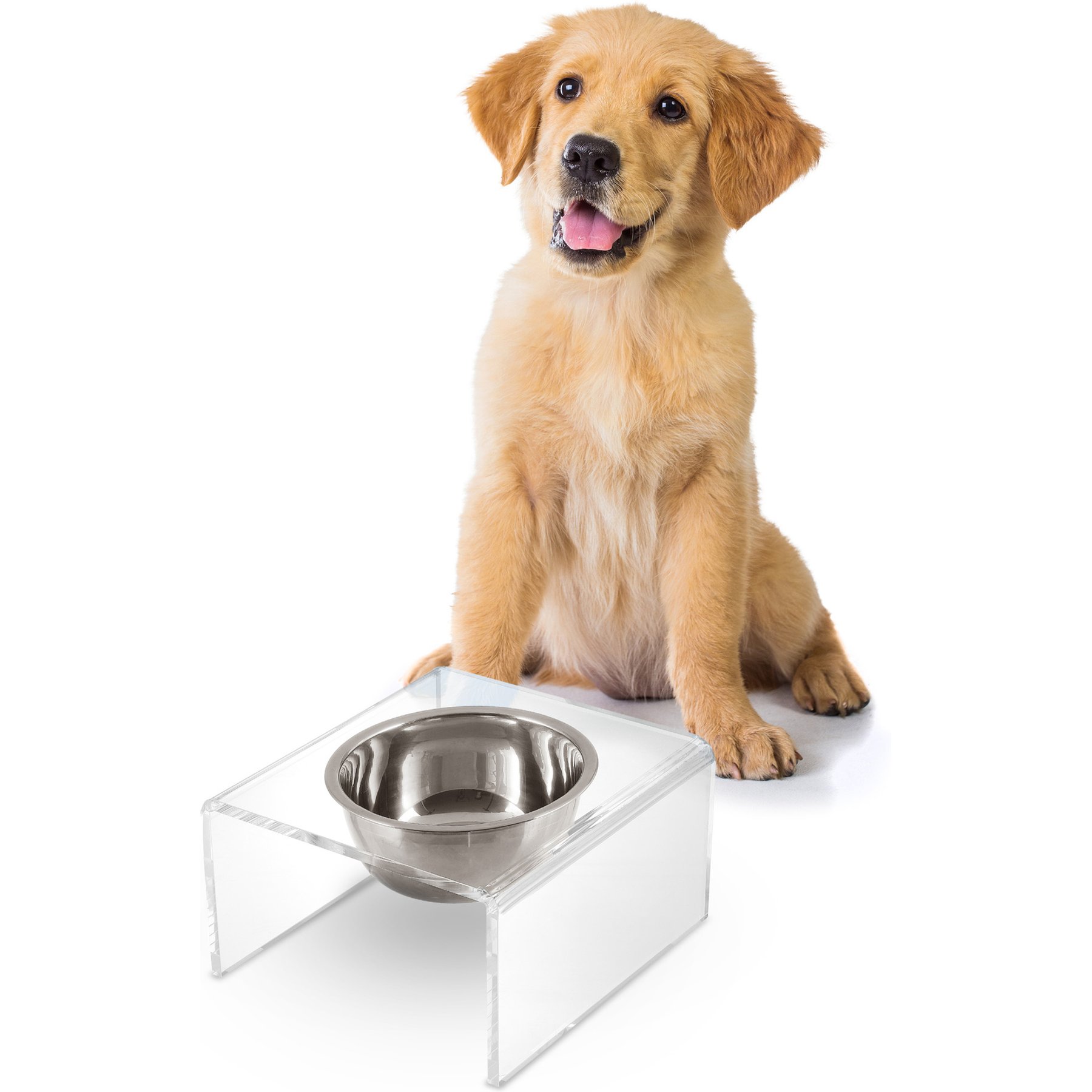 THE LICKER STORE Keaton Modern Lucite 1-Stainless Steel Elevated Dog & Cat Bowls, Clear/Chrome, Small/Medium: 5-in, 2.5 cup