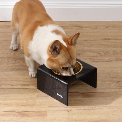 Show full view: THE LICKER STORE Keaton Modern Lucite 1-Stainless Steel Elevated Dog & Cat Bowls, Black/Gold, Small/Medium: 5-in, 2.5 cup slide 2 of 6