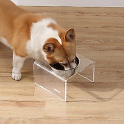 THE LICKER STORE Keaton Modern Lucite 1-Stainless Steel Elevated Dog & Cat Bowls, Clear/Chrome, Small/Medium: 5-in, 2.5 cup slide 2 of 6