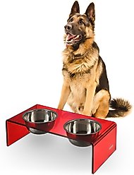 THE LICKER STORE Keaton Modern Lucite Stainless Steel Elevated Dog & Cat Bowls, Red/Chrome, Medium/Large: 7.5-in, 6.8 cup