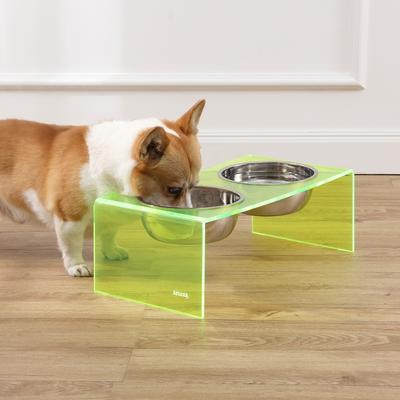 Show full view: THE LICKER STORE Keaton Modern Lucite Stainless Steel Elevated Dog & Cat Bowls, Green/Chrome, Medium/Large: 7.5-in, 6.8 cup slide 7 of 7