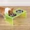 Show in main carousel: THE LICKER STORE Keaton Modern Lucite Stainless Steel Elevated Dog & Cat Bowls, Green/Chrome, Medium/Large: 7.5-in, 6.8 cup slide 3 of 7