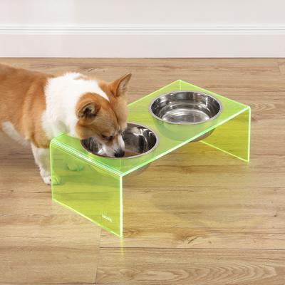 Show full view: THE LICKER STORE Keaton Modern Lucite Stainless Steel Elevated Dog & Cat Bowls, Green/Chrome, Medium/Large: 7.5-in, 6.8 cup slide 3 of 7