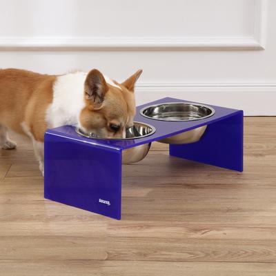 Show full view: THE LICKER STORE Keaton Modern Lucite Stainless Steel Elevated Dog & Cat Bowls, Purple/Chrome, Medium/Large: 7.5-in, 6.8 cup slide 6 of 6