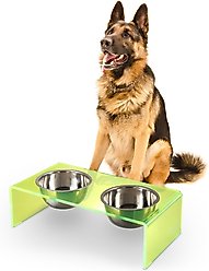 THE LICKER STORE Keaton Modern Lucite Stainless Steel Elevated Dog & Cat Bowls, Green/Chrome, Medium/Large: 7.5-in, 6.8 cup