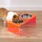 Show in main carousel: THE LICKER STORE Keaton Modern Lucite Stainless Steel Elevated Dog & Cat Bowls, Pink/Chrome, Medium/Large: 7.5-in, 6.8 cup slide 3 of 7