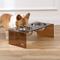 Show in main carousel: THE LICKER STORE Keaton Modern Lucite Stainless Steel Elevated Dog & Cat Bowls, Amber/Chrome, Medium/Large: 7.5-in, 6.8 cup slide 7 of 7