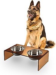 THE LICKER STORE Keaton Modern Lucite Stainless Steel Elevated Dog & Cat Bowls, Amber/Chrome, Medium/Large: 7.5-in, 6.8 cup