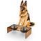 Show in main carousel: THE LICKER STORE Keaton Modern Lucite Stainless Steel Elevated Dog & Cat Bowls, Amber/Chrome, Medium/Large: 7.5-in, 6.8 cup slide 1 of 7