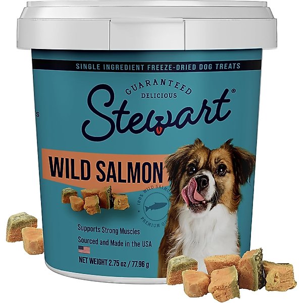 Stewart Wild Salmon Single Ingredient Freeze-Dried Dog Treats
