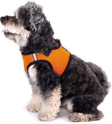 Show full view: The Worthy Dog Sidekick Dog Harness, Orange, XX-Small: 11 to 13-in chest slide 3 of 4