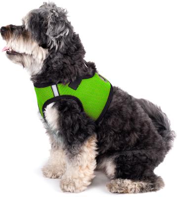 Show full view: The Worthy Dog Sidekick Dog Harness, Green, Large: 21 to 24-in chest slide 3 of 4