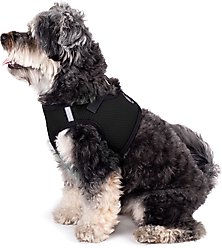 The Worthy Dog Sidekick Dog Harness, Black, Medium: 18 to 21-in chest slide 2 of 3