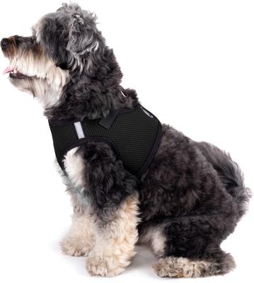 Show full view: The Worthy Dog Sidekick Dog Harness, Black, Large: 21 to 24-in chest slide 3 of 4