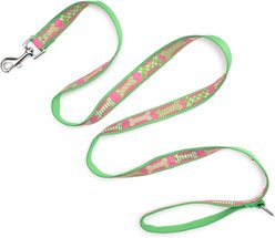 The Worthy Dog Preppy Bones Dog Leash, Pink, Large: 5-ft long, 1-in wide slide 2 of 4
