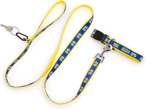 Show full view: The Worthy Dog Cheers! Dog Collar, Blue, Medium: 11 to 17-in neck, 1-in wide slide 6 of 6