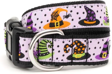 The Worthy Dog Bewitched Dog Collar, Purple, X-Small: 5 to 11-in neck, 1/2-in wide
