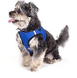 The Worthy Dog Sidekick Dog Harness, Blue, Large: 21 to 24-in chest slide 2 of 3