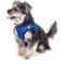 Show in main carousel: The Worthy Dog Sidekick Dog Harness, Blue, Small: 15 to 18-in chest slide 2 of 4