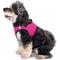 Show in main carousel: The Worthy Dog Sidekick Dog Harness, Pink, Medium: 18 to 21-in chest slide 3 of 4
