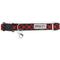 Show in main carousel: The Worthy Dog Bias Buffalo Plaid Cat Collar, Red 9 to 11-in neck, 1/2-in wide slide 3 of 3