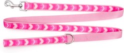 The Worthy Dog Ombre Dog Leash, Pink, Large: 5-ft long, 1-in wide slide 2 of 3