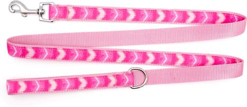 Show full view: The Worthy Dog Ombre Dog Leash, Pink, Large: 5-ft long, 1-in wide slide 2 of 3